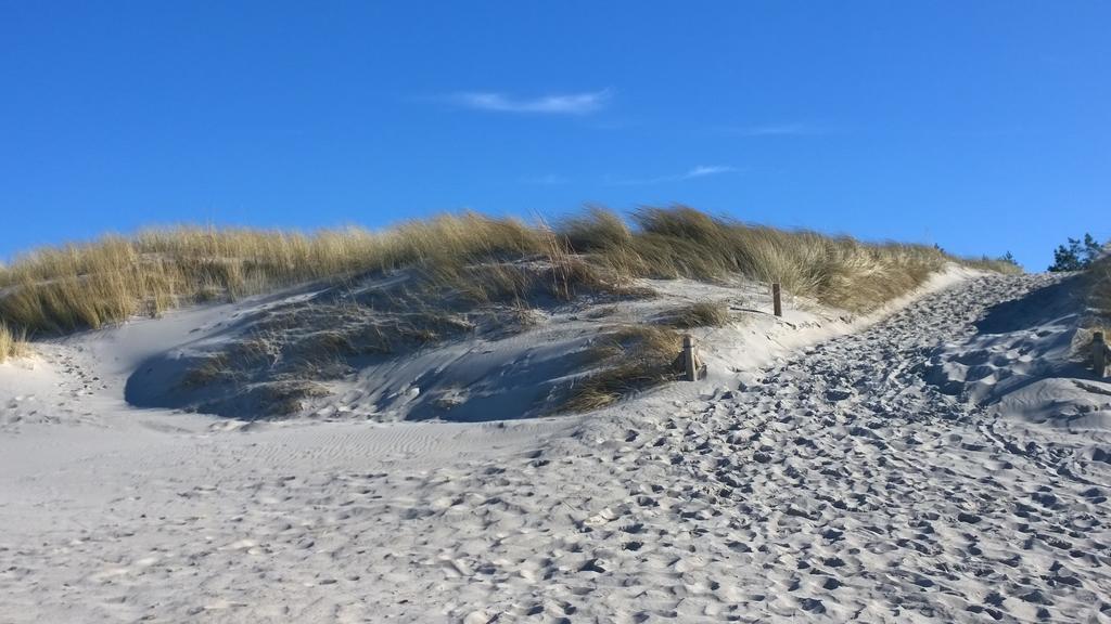 Ostsee Ferienappartement Dierhagen-Strand Exterior foto